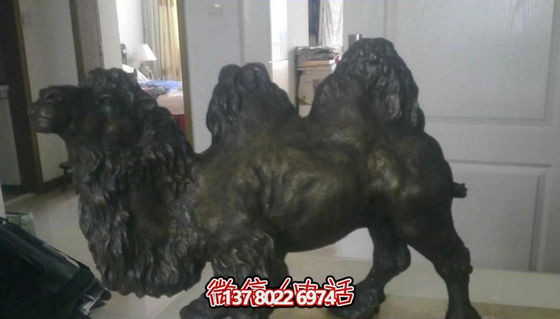 廣場上擺放的跪著的玻璃鋼噴漆駱駝雕塑 廣場上擺放的跪著的玻璃鋼噴漆駱駝雕塑